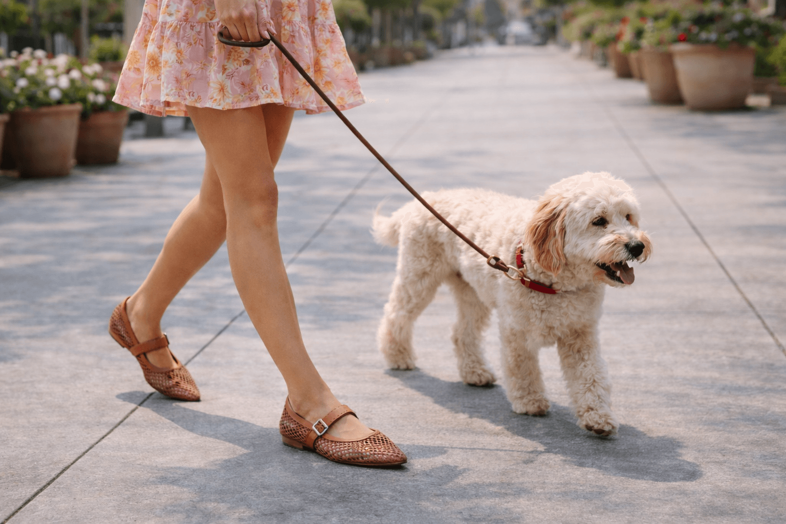 woman walking small white dog wearing mesh flats and a dress